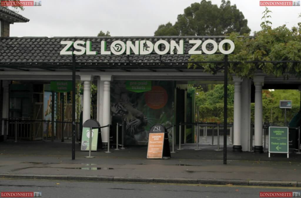 ZSL London Zoo